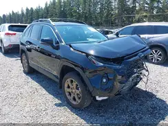 2T3UWRFV2RW218909 2024 TOYOTA RAV 4