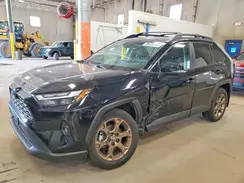 2T3UWRFV2RW226248 2024 TOYOTA RAV 4
