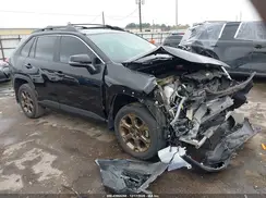 2T3UWRFV3PW152058 2023 TOYOTA RAV 4