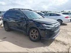 2T3UWRFV3PW153291 2023 TOYOTA RAV 4