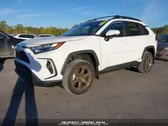 2T3UWRFV3PW159690 2023 TOYOTA RAV 4