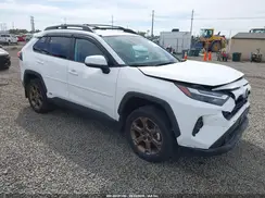 2T3UWRFV3PW161391 2023 TOYOTA RAV 4