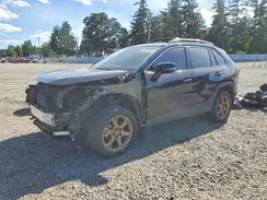 2T3UWRFV3RW195723 2024 TOYOTA RAV 4