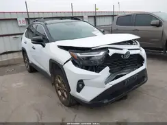 2T3UWRFV3RW215209 2024 TOYOTA RAV 4