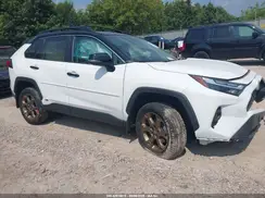 2T3UWRFV3RW220488 2024 TOYOTA RAV 4
