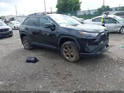 2T3UWRFV3RW226503 2024 TOYOTA RAV 4