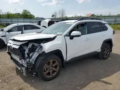 2T3UWRFV4PW151890 2023 TOYOTA RAV 4