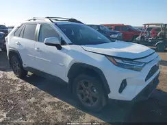 2T3UWRFV4PW153459 2023 TOYOTA RAV 4