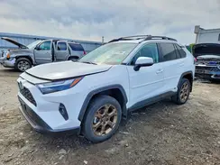 2T3UWRFV4PW163361 2023 TOYOTA RAV 4