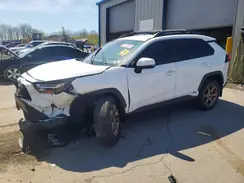 2T3UWRFV4PW174523 2023 TOYOTA RAV 4