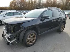 2T3UWRFV4RW188215 2024 TOYOTA RAV 4