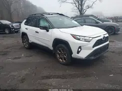 2T3UWRFV4RW191776 2024 TOYOTA RAV 4