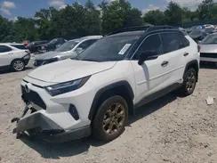2T3UWRFV4RW196461 2024 TOYOTA RAV 4