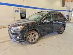 2T3UWRFV4SW290670 2025 TOYOTA RAV 4