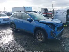 2T3UWRFV5PW167841 2023 TOYOTA RAV 4