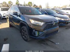 2T3UWRFV5PW176720 2023 TOYOTA RAV 4