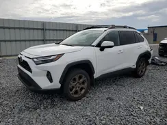 2T3UWRFV6PW154578 2023 TOYOTA RAV 4
