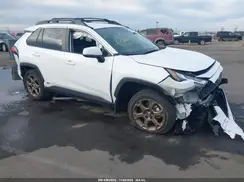 2T3UWRFV6PW176631 2023 TOYOTA RAV 4