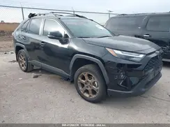 2T3UWRFV6PW184003 2023 TOYOTA RAV 4