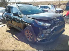 2T3UWRFV6RW188202 2024 TOYOTA RAV 4
