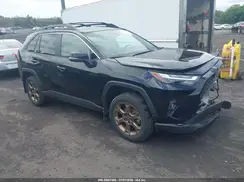 2T3UWRFV6RW248432 2024 TOYOTA RAV 4