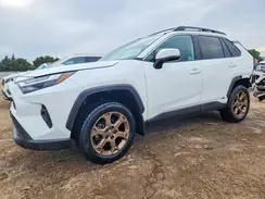 2T3UWRFV7PW179439 2023 TOYOTA RAV 4