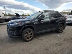2T3UWRFV7RW193117 2024 TOYOTA RAV 4