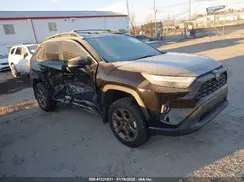 2T3UWRFV7RW222616 2024 TOYOTA RAV 4