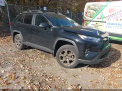 2T3UWRFV7RW224267 2024 TOYOTA RAV 4