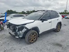 2T3UWRFV7SW290629 2025 TOYOTA RAV 4