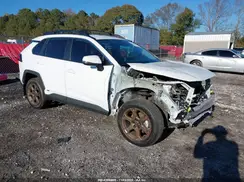 2T3UWRFV8PW152492 2023 TOYOTA RAV 4