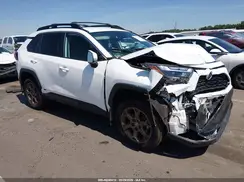 2T3UWRFV8PW175321 2023 TOYOTA RAV 4