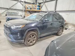 2T3UWRFV8PW175559 2023 TOYOTA RAV 4