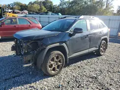 2T3UWRFV8RW206683 2024 TOYOTA RAV 4