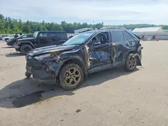 2T3UWRFV8RW219465 2024 TOYOTA RAV 4