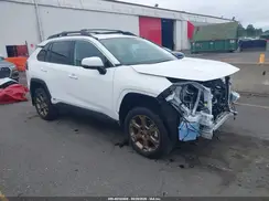 2T3UWRFV9PW173495 2023 TOYOTA RAV 4