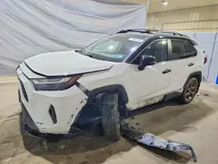 2T3UWRFV9RW220365 2024 TOYOTA RAV 4