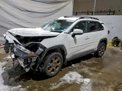 2T3UWRFVXPW155524 2023 TOYOTA RAV 4