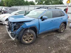 2T3UWRFVXPW178091 2023 TOYOTA RAV 4