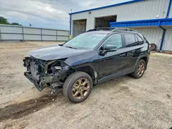 2T3UWRFVXPW178995 2023 TOYOTA RAV 4
