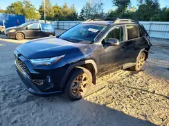 2T3UWRFVXRW195833 2024 TOYOTA RAV 4
