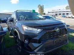2T3UWRFVXRW196402 2024 TOYOTA RAV 4