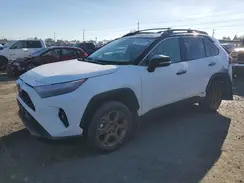 2T3UWRFVXRW229883 2024 TOYOTA RAV 4