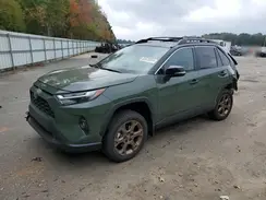 2T3UWRFVXRW230435 2024 TOYOTA RAV 4