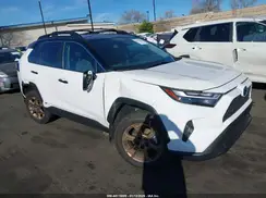 2T3UWRFVXRW237918 2024 TOYOTA RAV 4