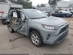 2T3W1RFV0KC026032 2019 TOYOTA RAV 4