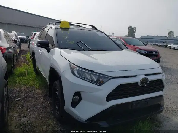2T3W1RFV0KW044450 2019 TOYOTA RAV 4 - Image 1