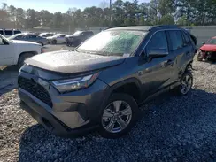 2T3W1RFV0NC209516 2022 TOYOTA RAV 4