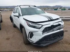 2T3W1RFV0PW243117 2023 TOYOTA RAV 4