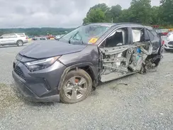 2T3W1RFV0RC259466 2024 TOYOTA RAV 4